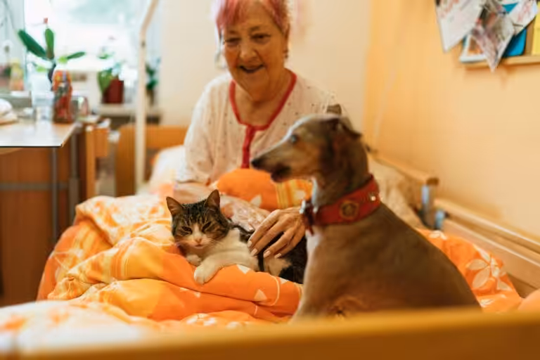 a senior in assisted living with a dog and a cat on her bed