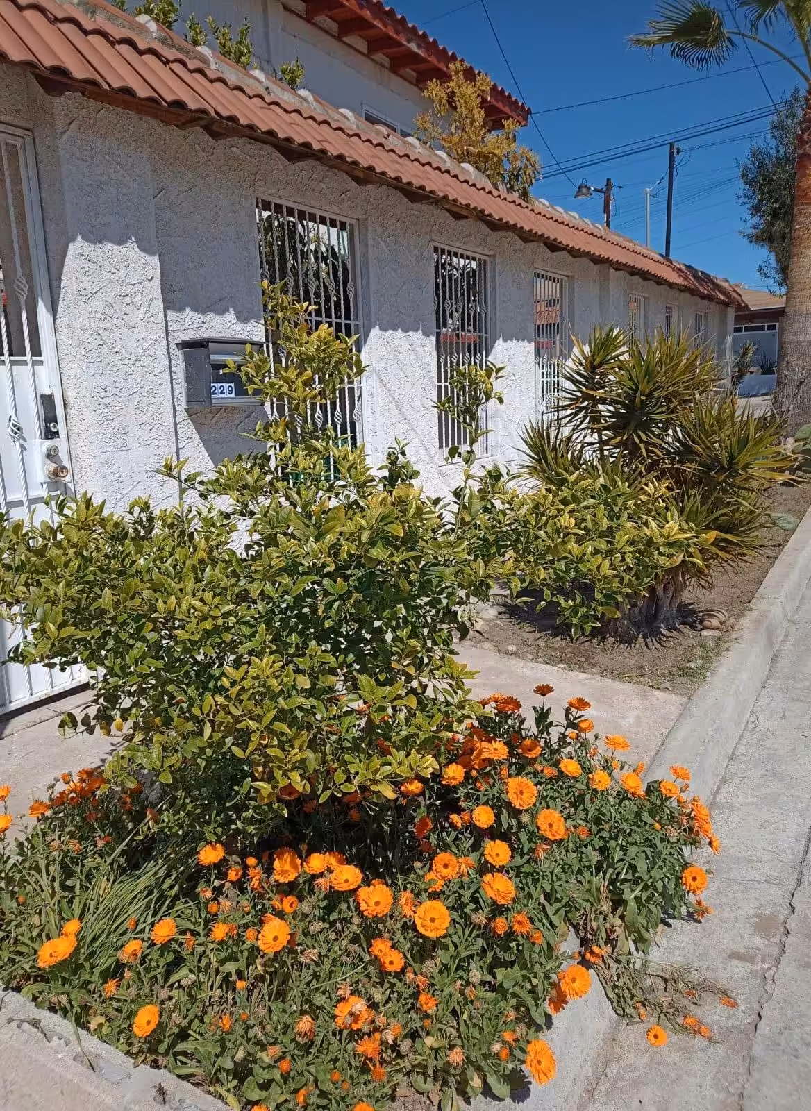 Casa de Mi Abuelo Playas